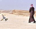50 Winners on 3rd Day of Al-Mallouah Competition at King Abdulaziz Falconry Festival