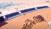 رجال أعمال يضخون مئات الملايين في مهرجان الإبل