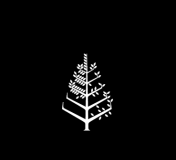 فور سيزونز فور سيزونز